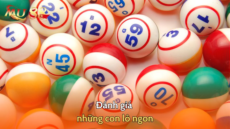 Đánh giá những con lô ngon