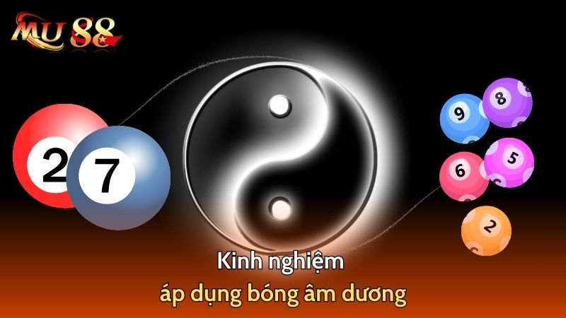 Kinh nghiệm áp dụng bóng âm dương