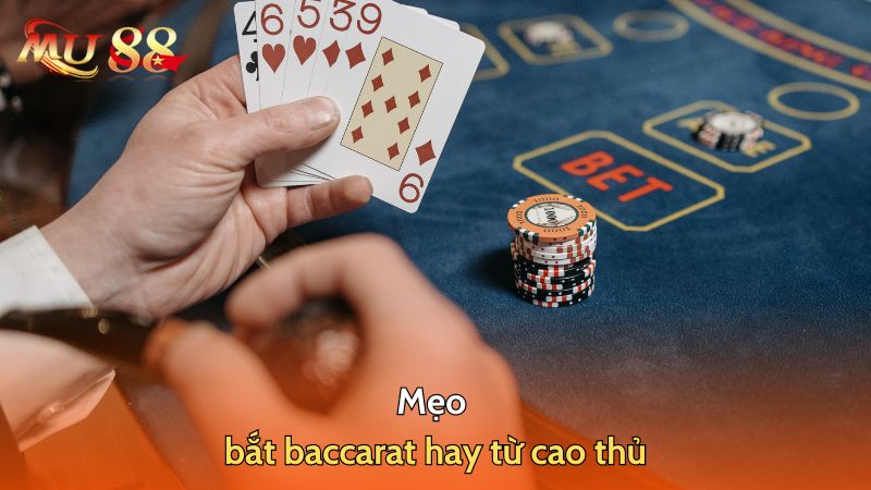 Mẹo bắt baccarat hay từ cao thủ